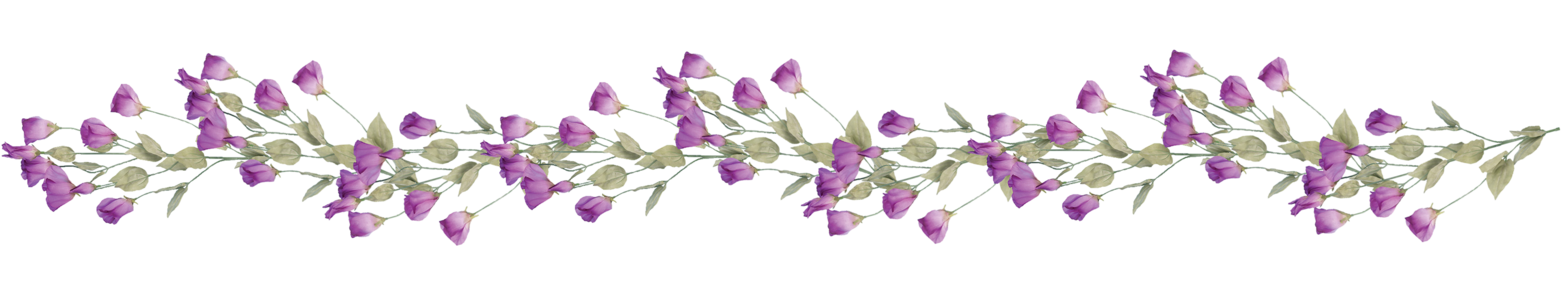 ดอกไม้